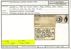 Karteikarte zum Holotyp von Cristellaria rotula Stache, 1864